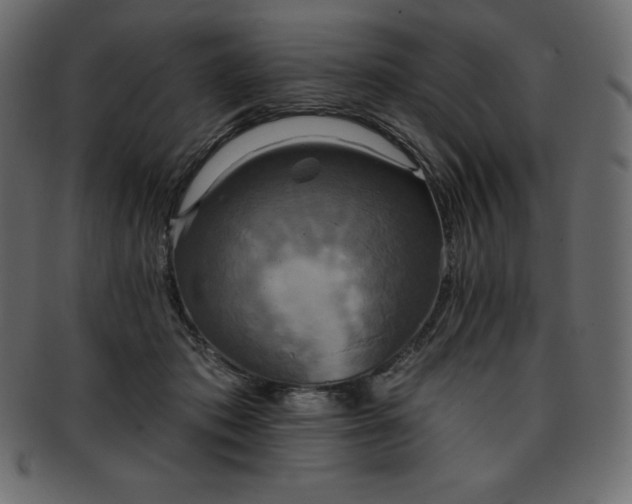 X0000093360413200710191101
