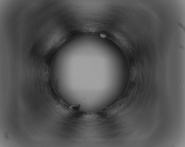 X0000093360414200710191101
