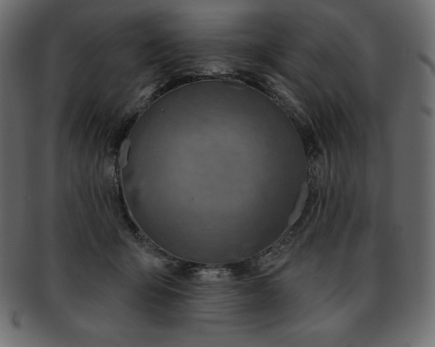 X0000093360415200710191101
