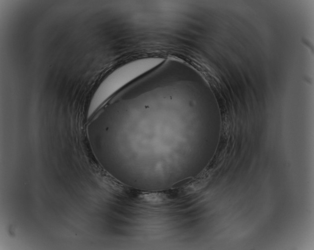 X0000093360417200710191101