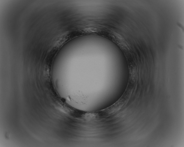 X0000093360418200710191101
