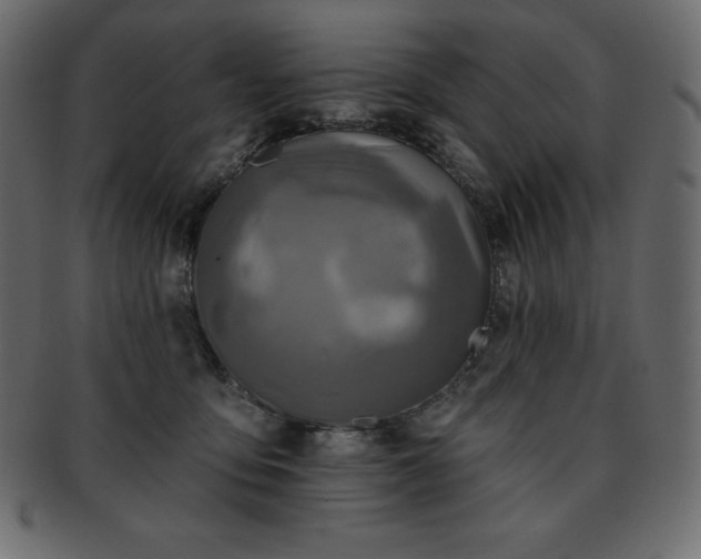 X0000093360419200710191101
