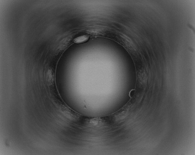X0000093360420200710191101