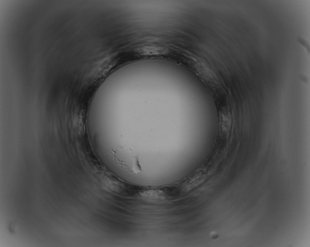 X0000093360422200710191101