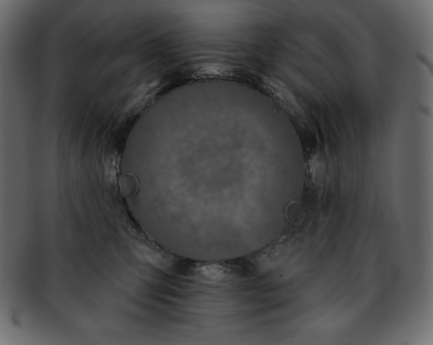 X0000093360423200710191101