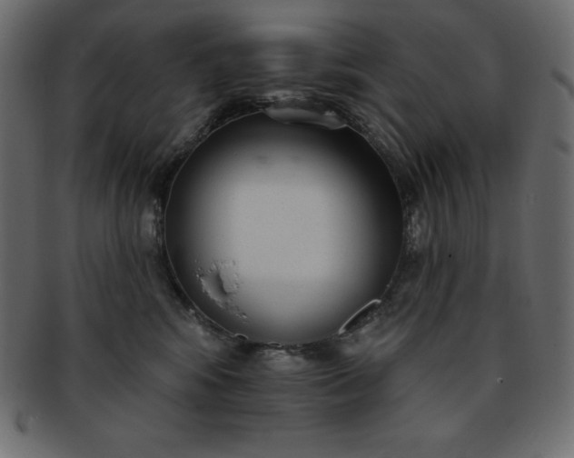 X0000093360424200710191101