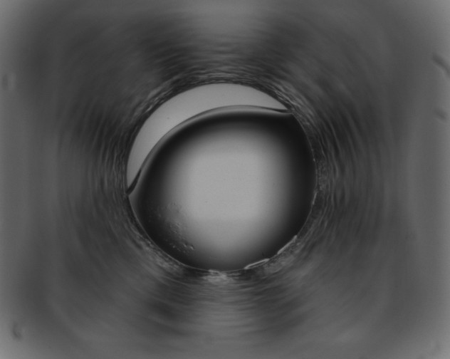 X0000093360425200710191101