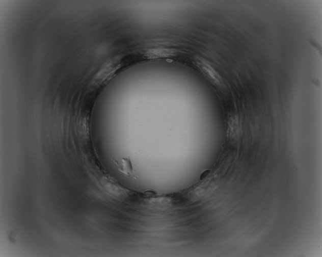 X0000093360426200710191101