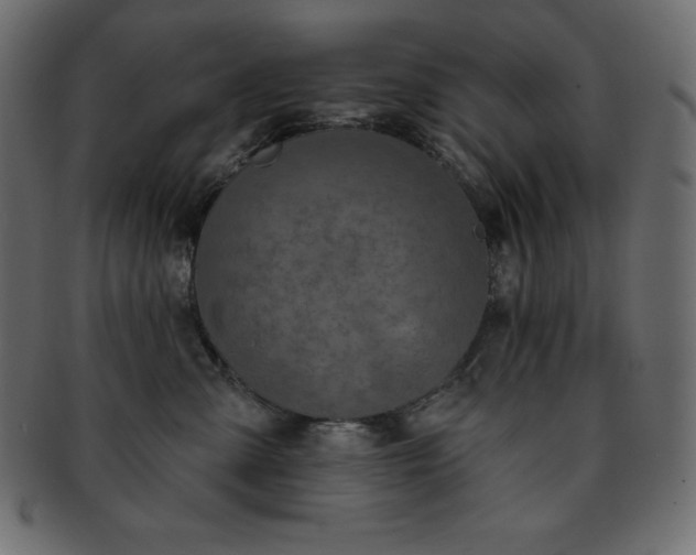 X0000093360427200710191101