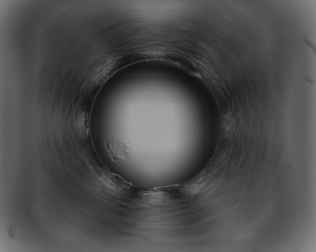 X0000093360428200710191101