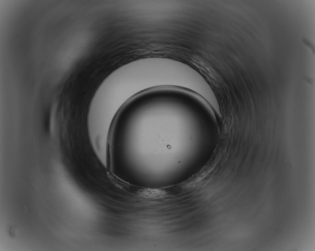 X0000093360429200710191101