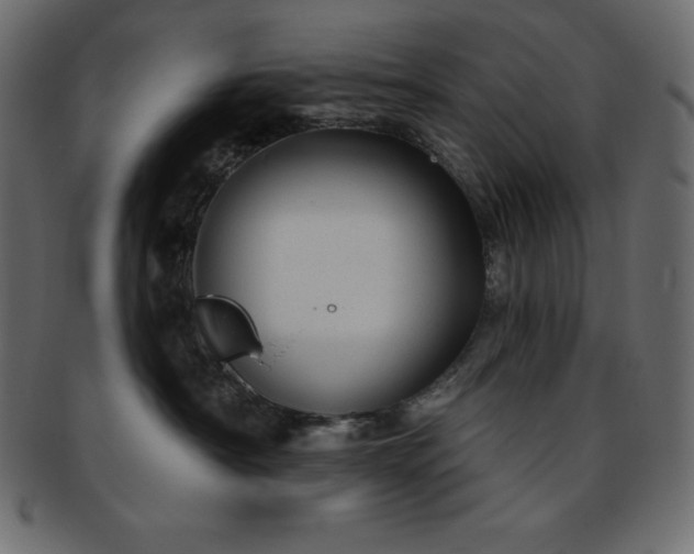 X0000093360430200710191101