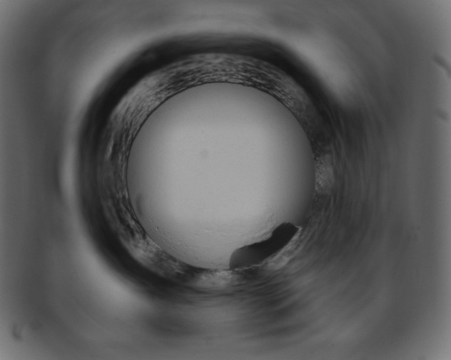 X0000093360431200710191101