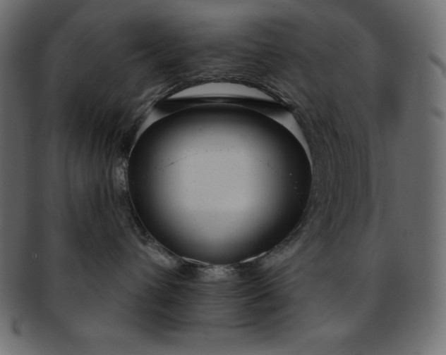 X0000093360432200710191101