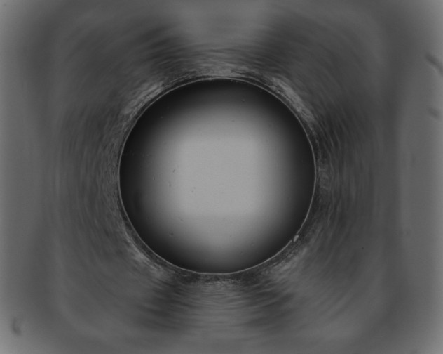 X0000093360433200710191100