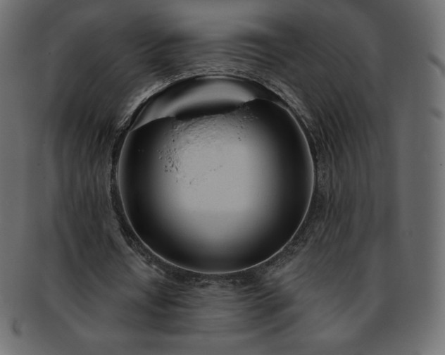X0000093360434200710191100