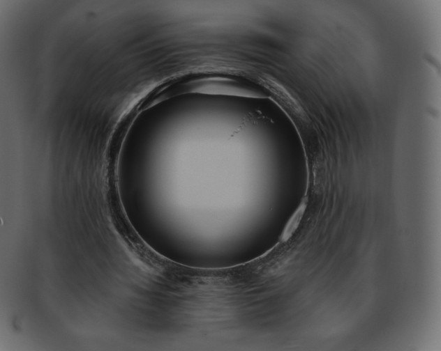 X0000093360436200710191100
