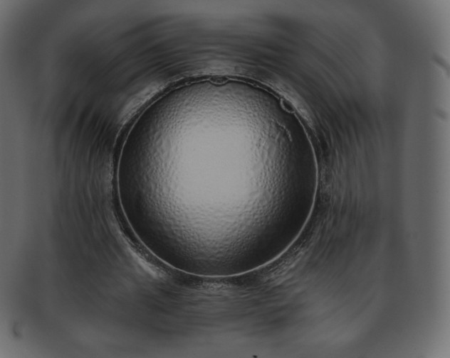 X0000093360437200710191100