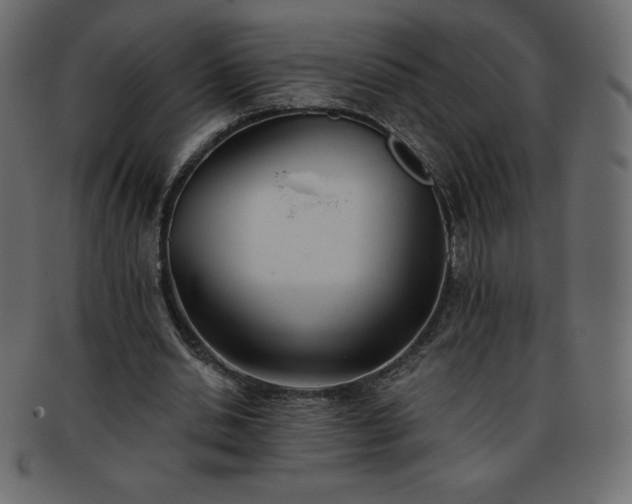 X0000093360438200710191100