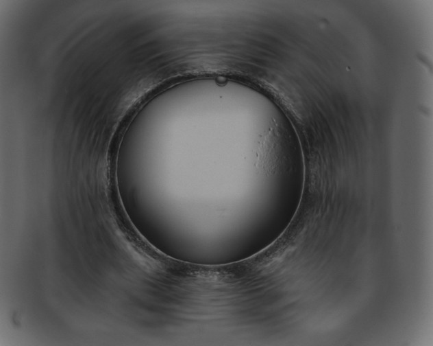 X0000093360439200710191100