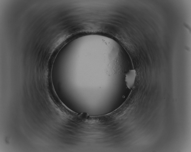 X0000093360440200710191100