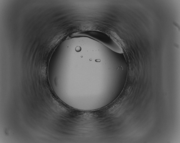 X0000093360441200710191100