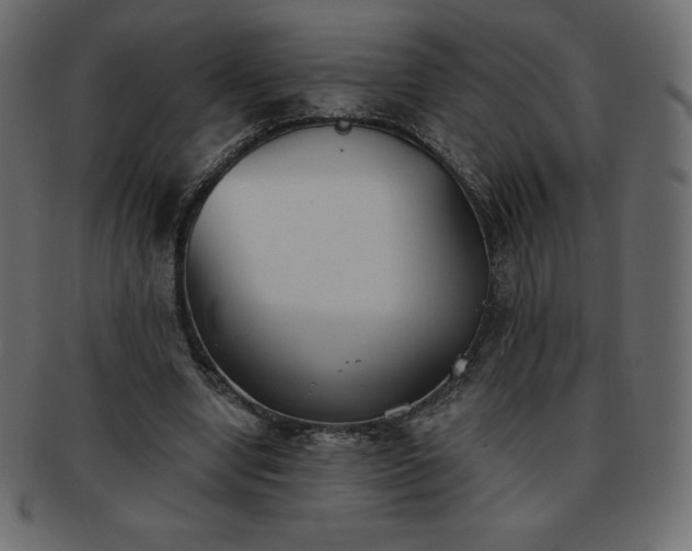 X0000093360442200710191100