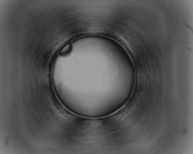 X0000093360443200710191100