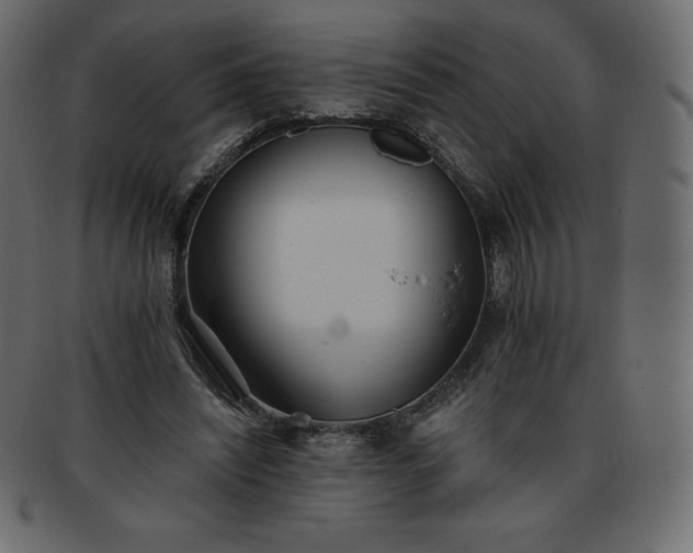 X0000093360444200710191100