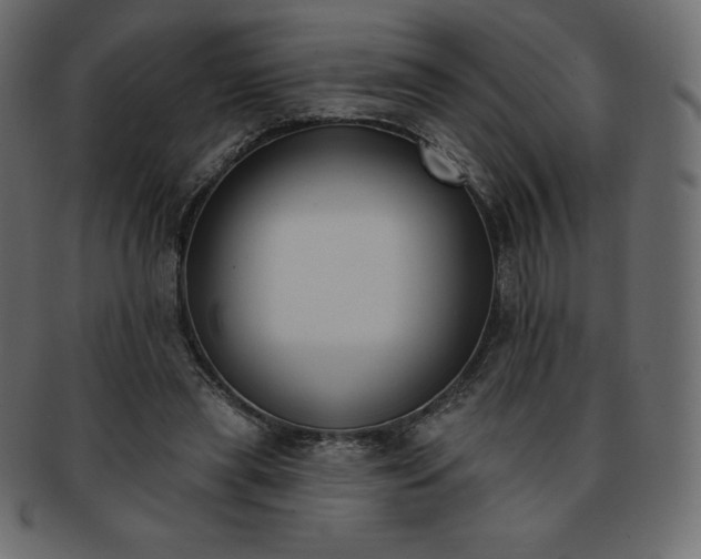 X0000093360445200710191100