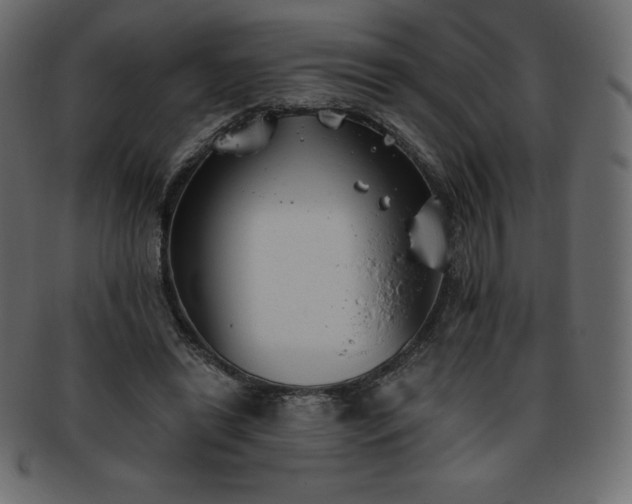 X0000093360446200710191100