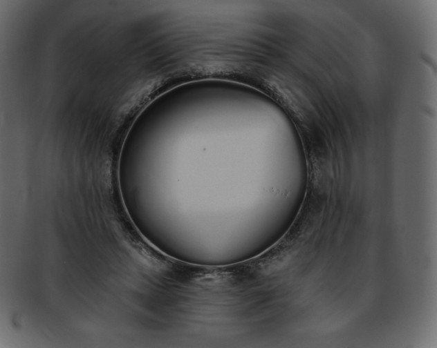 X0000093360447200710191100