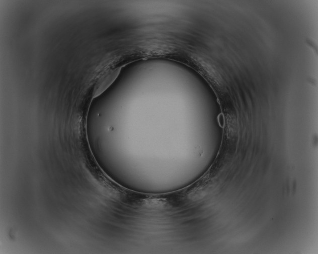 X0000093360451200710191100