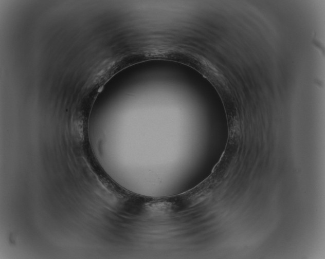 X0000093360452200710191100