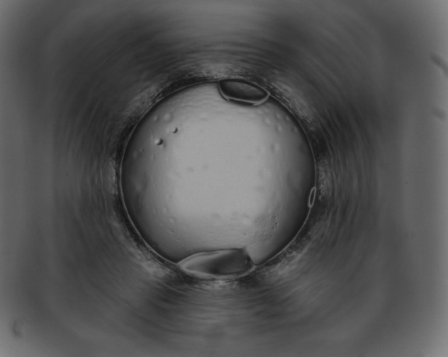 X0000093360453200710191100