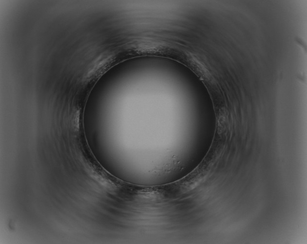 X0000093360454200710191100