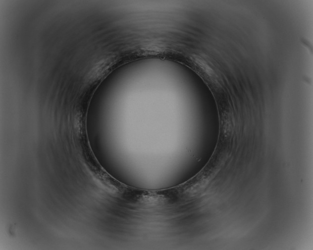 X0000093360455200710191100