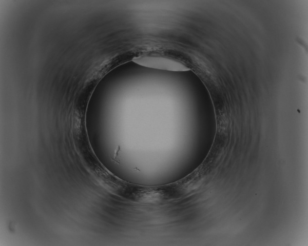 X0000093360456200710191100
