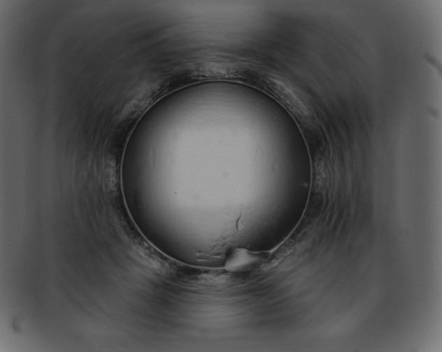 X0000093360457200710191100