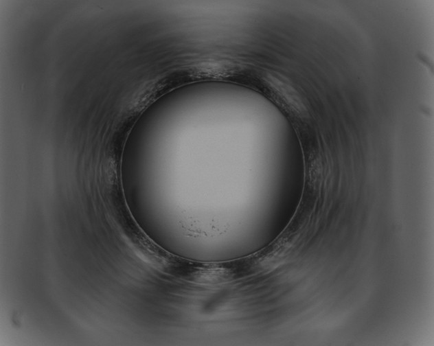 X0000093360459200710191100