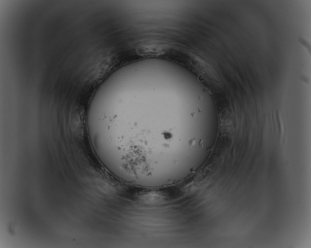 X0000093360460200710191100