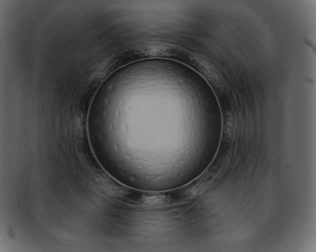 X0000093360461200710191100