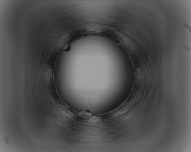 X0000093360463200710191100
