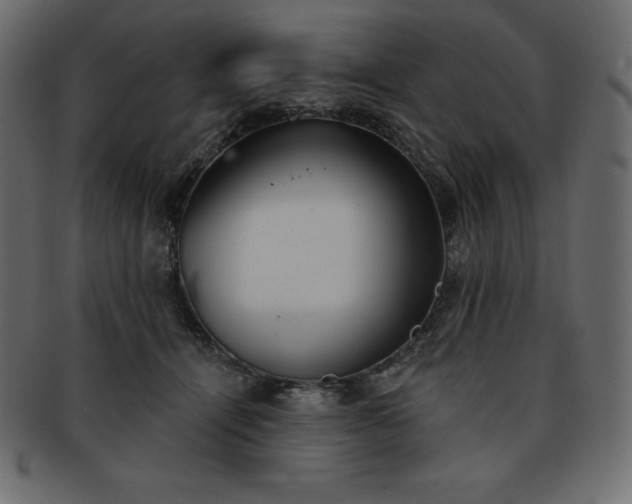 X0000093360464200710191100