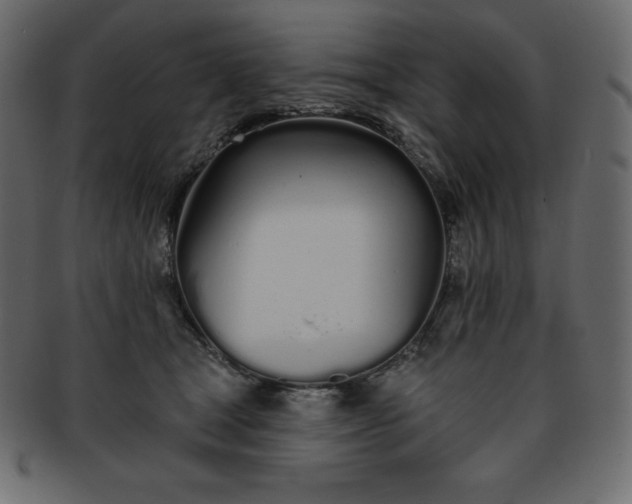 X0000093360465200710191100