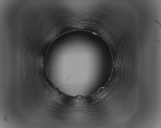 X0000093360466200710191100