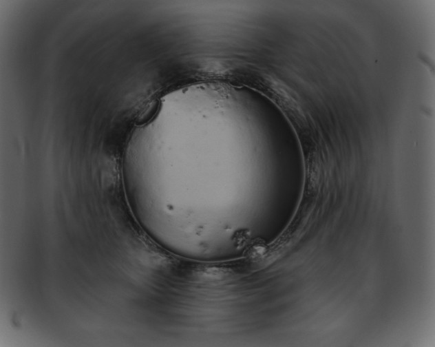 X0000093360467200710191100