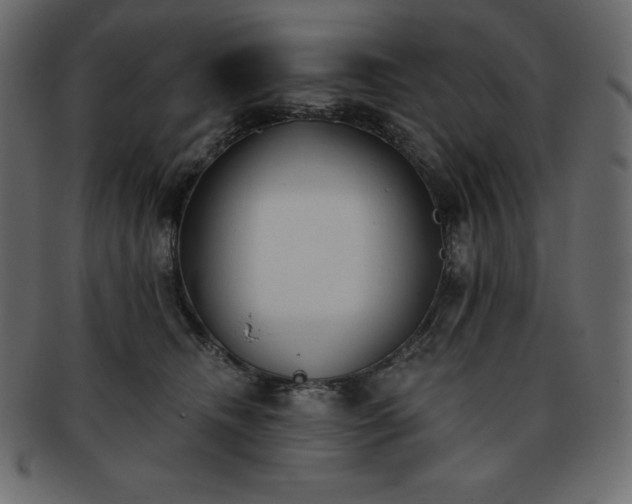 X0000093360468200710191100