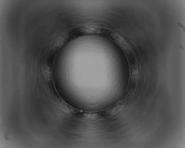 X0000093360469200710191100