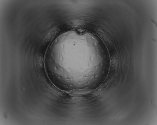 X0000093360470200710191100
